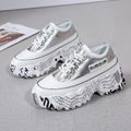 NIM SHOE FOR WOMEN - Zella Mall™™